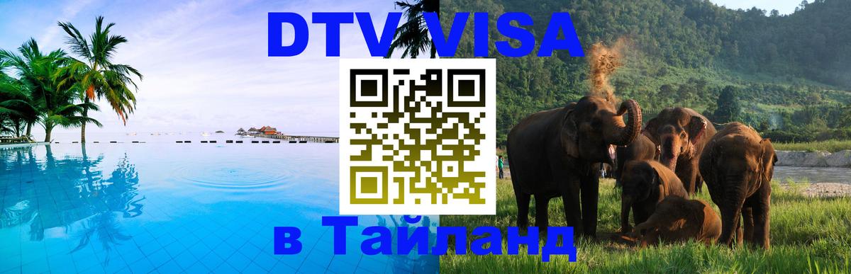 Оформление DTV визы под ключ: стоимость и тарифы, только загранпаспорт - 